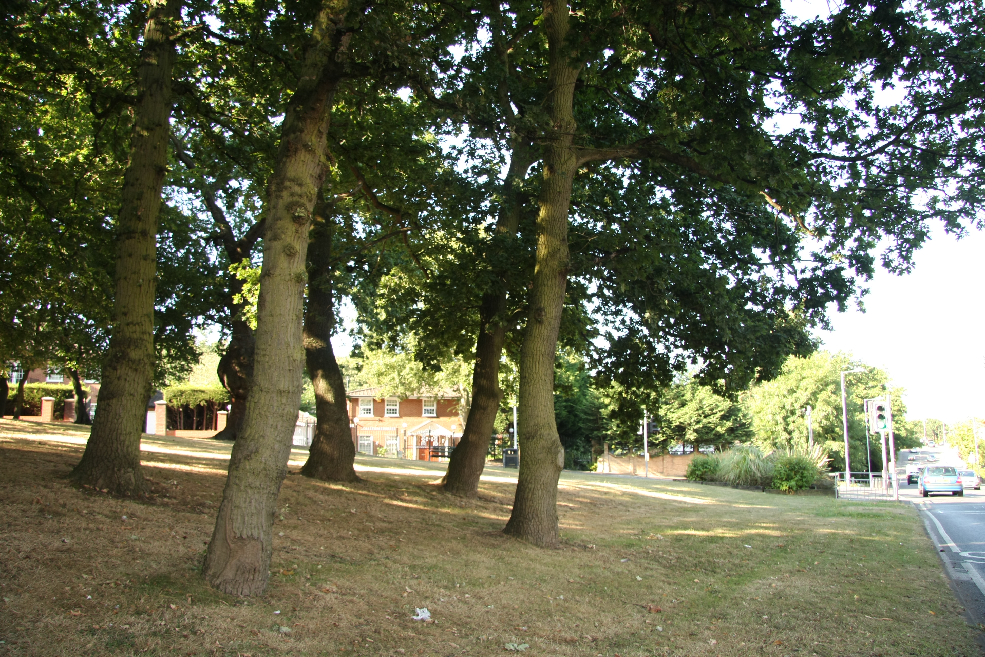 tomswood hill 01.jpg